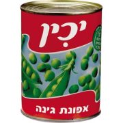 אפונה ירוקה