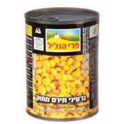 תירס
